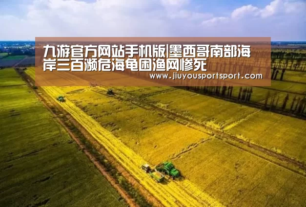 九游官方网站手机版|墨西哥南部海岸三百濒危海龟困渔网惨死