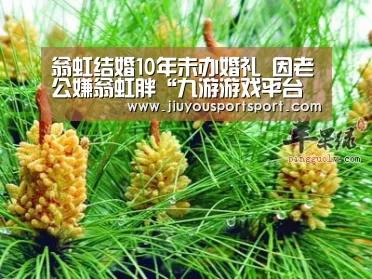 九游官方网站手机版