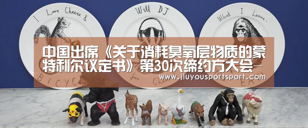 中国出席《关于消耗臭氧层物质的蒙特利尔议定书》第30次缔约方