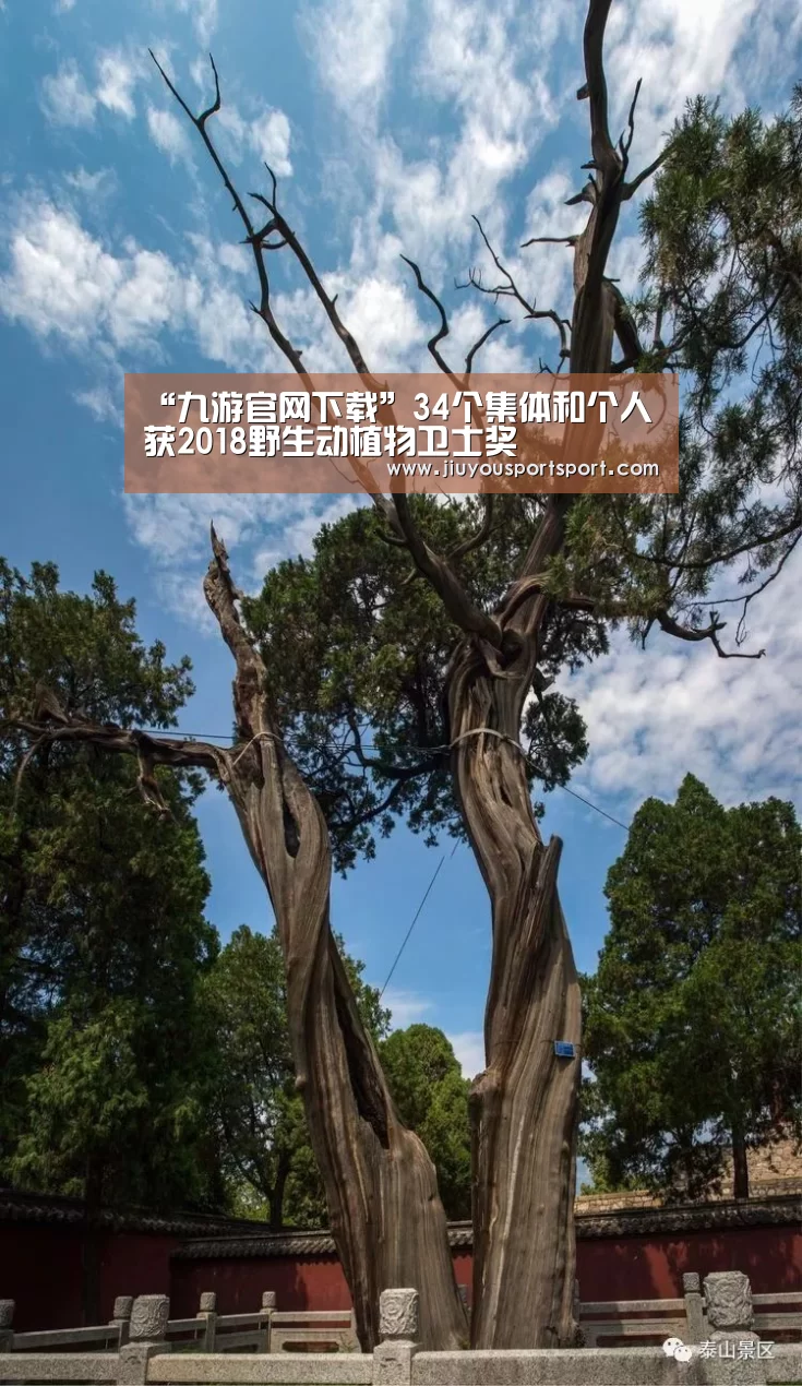 九游官方网站手机版
