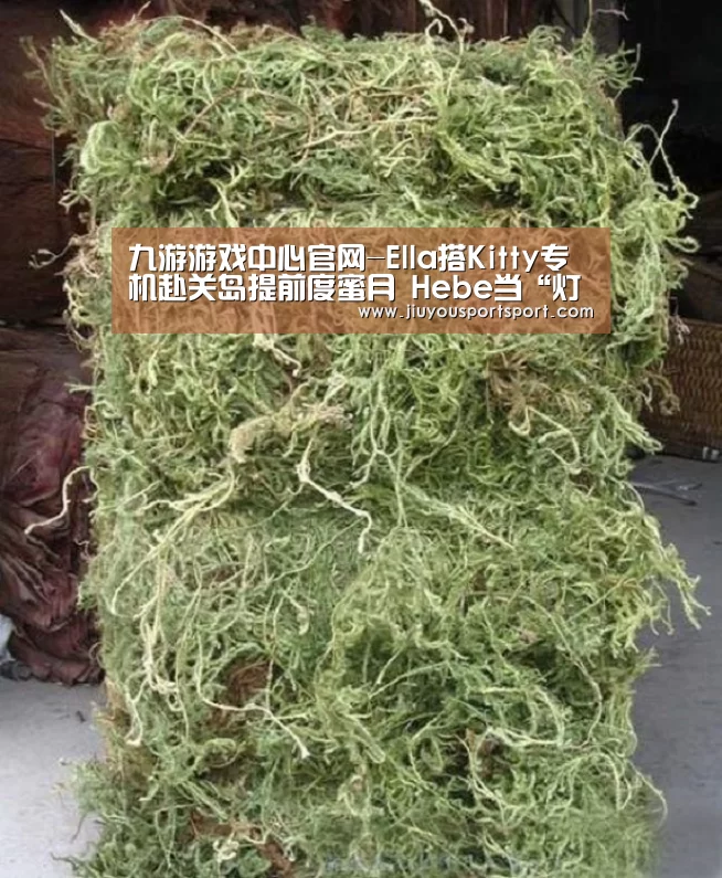 九游游戏中心官网-Ella搭Kitty专机赴关岛提前度蜜月 